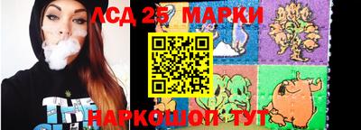 гашик Аргун