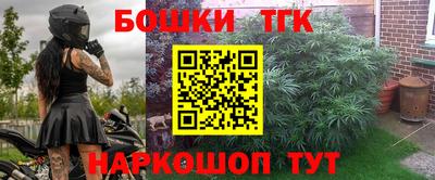 гашик Аргун