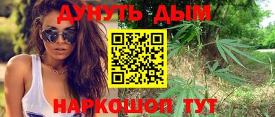 гашик Аргун