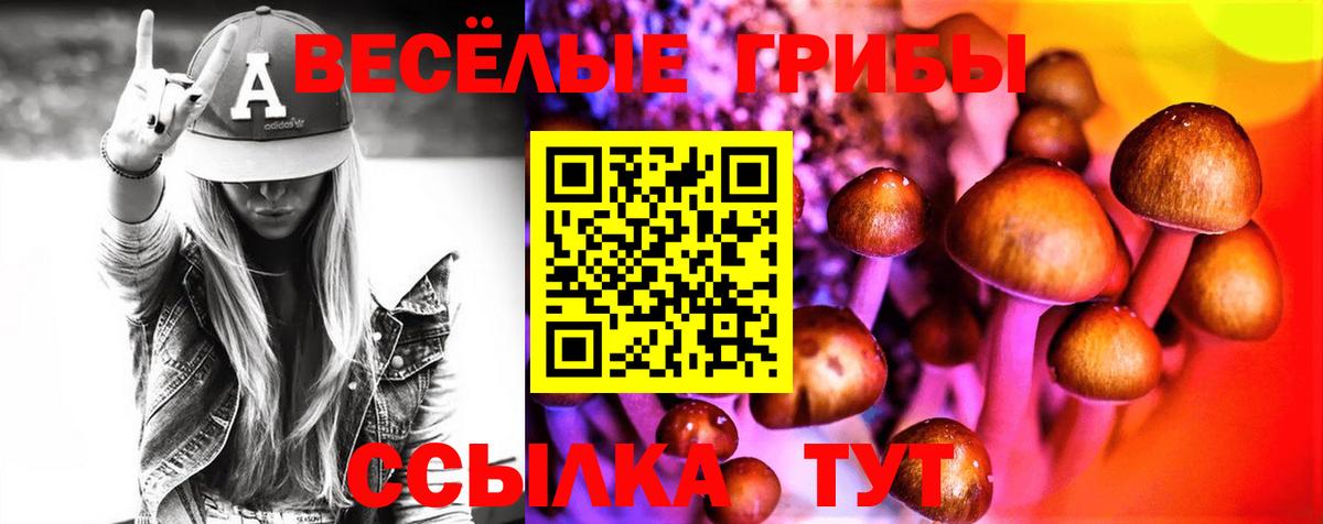 наркота  Вход с VPN  Вятские Поляны  Галлюциногенные грибы мицелий 